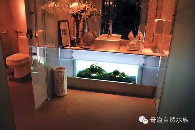 鱼缸摆放位置与属相,鱼缸的摆放位置以及风水影响