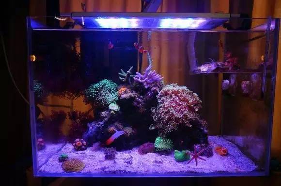 玩的真溜，三千玩出了三万的水平！