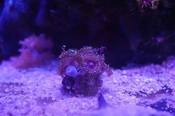 玩的真溜，三千玩出了三万的水平！