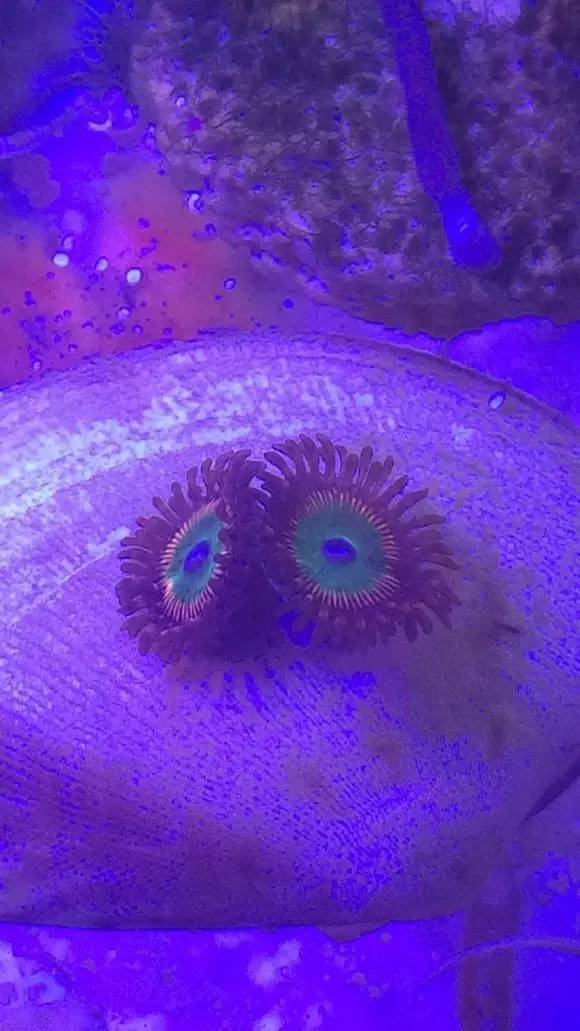 玩的真溜，三千玩出了三万的水平！