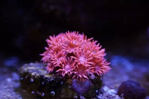 玩的真溜，三千玩出了三万的水平！