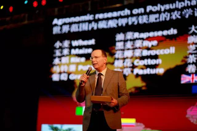 中国崛起的心得感受,中国崛起的过程和感悟