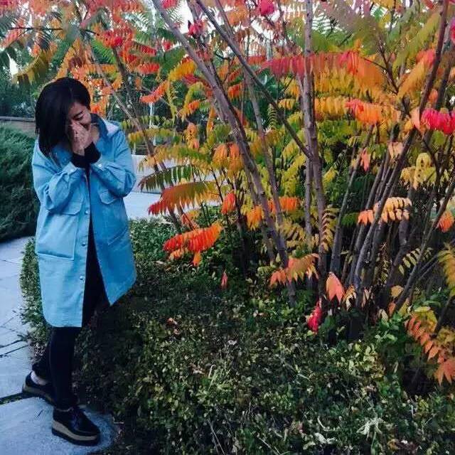 重磅|只有如此理直气壮的买买买,才配得上即将过去的2016