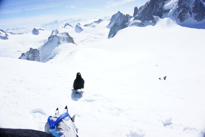 霞慕尼徒步环勃朗峰,霞慕尼勃朗峰缆车
