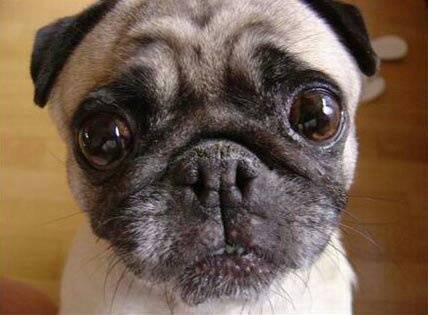 正月十五点灯笼有什么讲究,过年灯笼的讲究