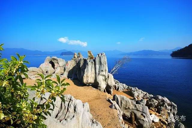 千岛湖的历史记忆,千岛湖历史记忆