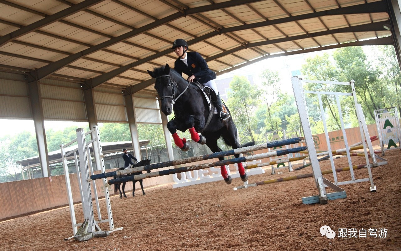 日产贵士mpv试驾视频,mpv日产贵士