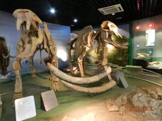 周末恰逢圣诞，去这些好玩的地方就对了！