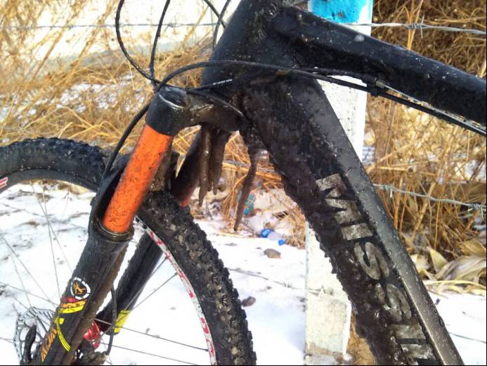 山东猪坚强,猪坚强512