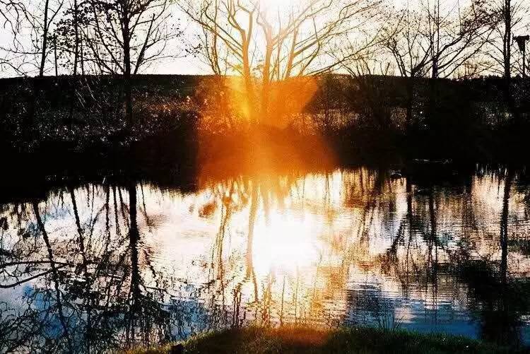 圣诞遐思｜在看似华丽的中场战事后，学会安然面对此生孤独