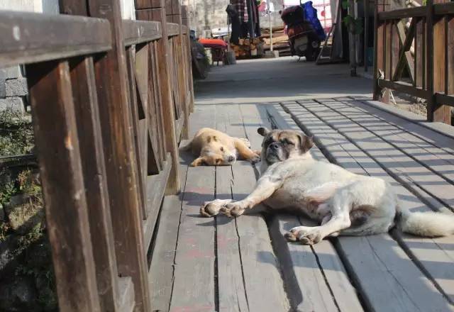 迷人的山水绘画,徽州特色烟雨江南画