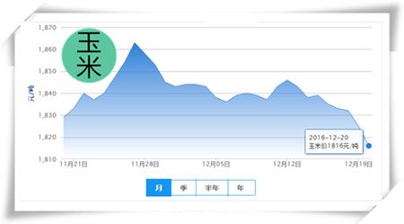 12月27日生猪行情分析,2022年养猪的行情前景如何