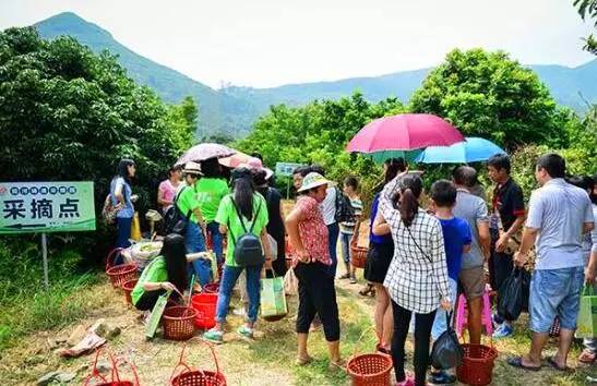 2017叨位“七桃”？看这里，拿走不谢！