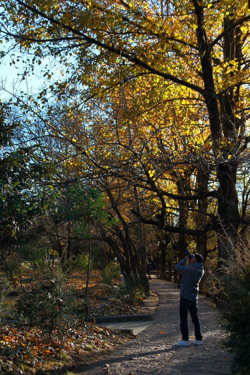 适合冬季穿的三合一冲锋衣测评,冬季冲锋衣哪款好