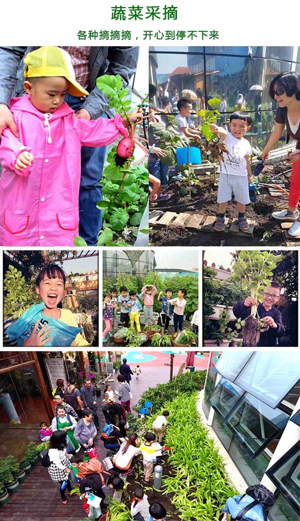 拥抱屋顶，让我们做一场离天空很近的梦