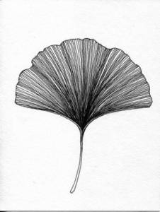 人老心不老健康很重要,人老心不老健康才是宝