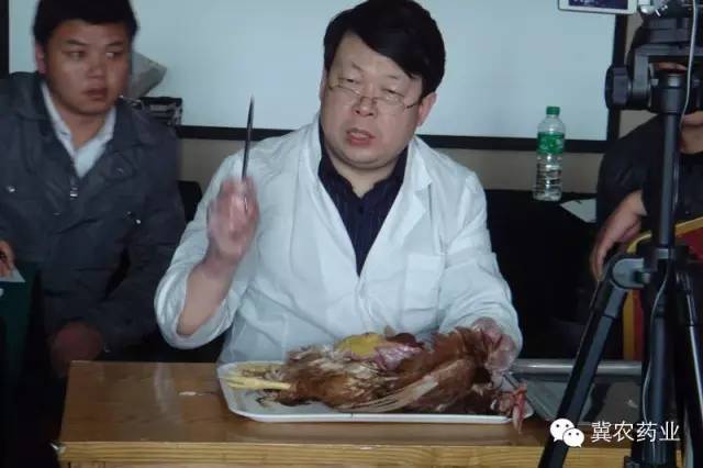 绂界被鐤剧梾涓撳,涓撴不鐤戦毦鏉傜棁鐨勭窘姣涚悆鏁欑粌