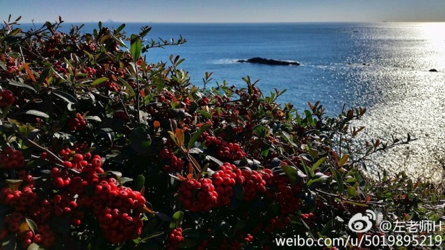 青岛的冬天来临之前,青岛的冬天多么美