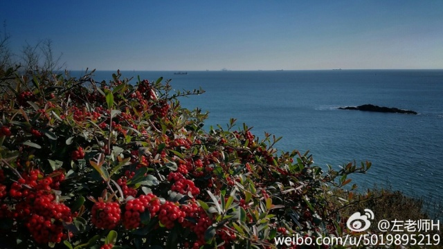 青岛的冬天来临之前,青岛的冬天多么美