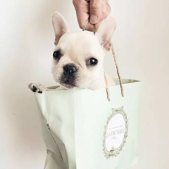 圣诞节便宜又有档次的礼物,最值得入手的圣诞礼物