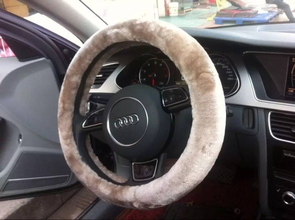 真羡慕有方向盘加热的人,天冷了羡慕别人有小轿车