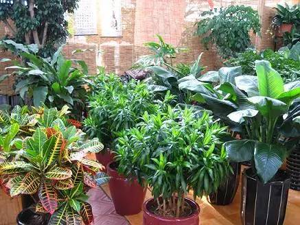 邯郸市最大的批发市场在哪里,邯郸最便宜商品批发市场