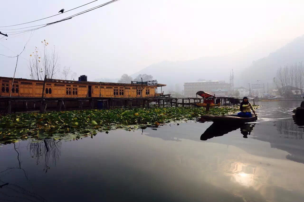 下站去哪里旅游,下站了该去哪