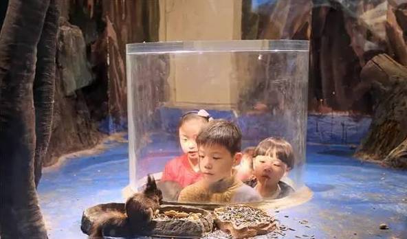 周末恰逢圣诞，去这些好玩的地方就对了！