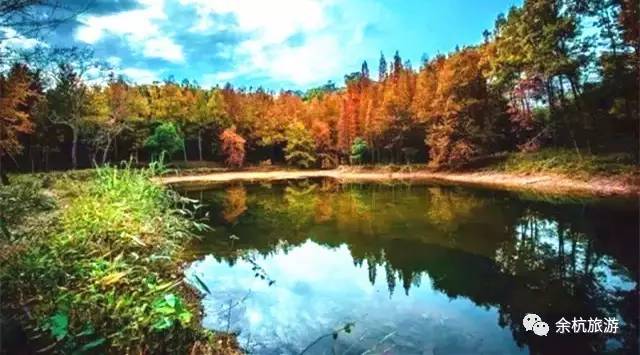 100块钱在干什么,100块钱能干点儿什么