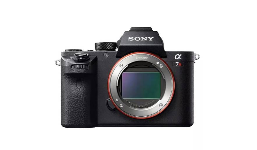 我找来5位很会花钱的好朋友，分享了她们的年度最爱清单！