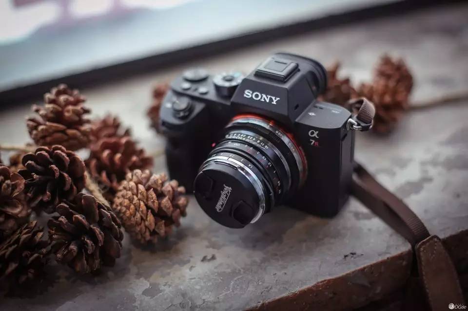 我找来5位很会花钱的好朋友，分享了她们的年度最爱清单！