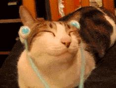 景甜素颜圈粉,景甜气场十足淡妆也很自信