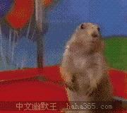 中山发福利了！粤T8888T、粤T3333A等靓号后天免费抽！