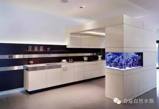 鱼缸摆放位置与属相,鱼缸的摆放位置以及风水影响