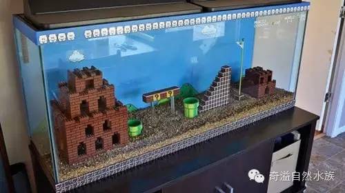 鱼缸摆放位置与属相,鱼缸的摆放位置以及风水影响