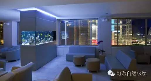 鱼缸摆放位置与属相,鱼缸的摆放位置以及风水影响