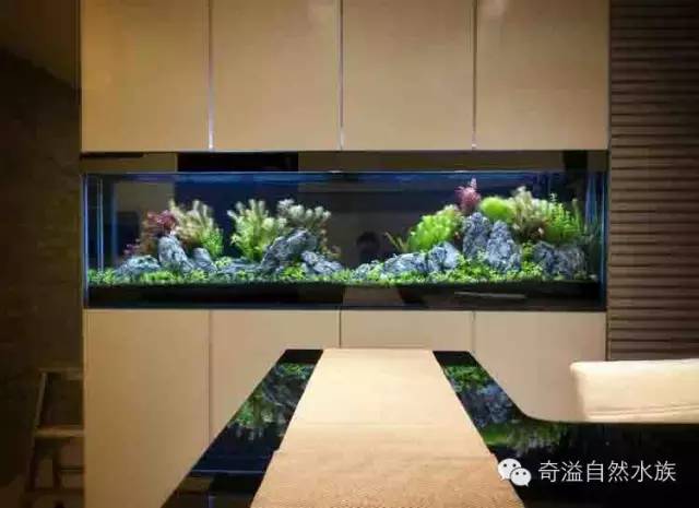 鱼缸摆放位置与属相,鱼缸的摆放位置以及风水影响