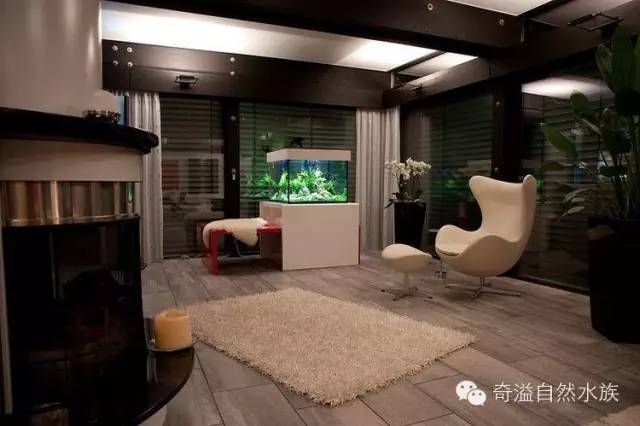 鱼缸摆放位置与属相,鱼缸的摆放位置以及风水影响