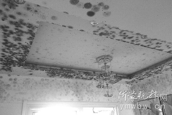 临沂供暖银河湾3号院,临沂滨河润城房屋漏水