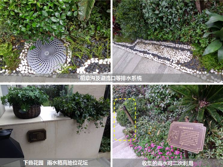 周四产品说|地王系列——金地世家,产品创新才是热销的保证