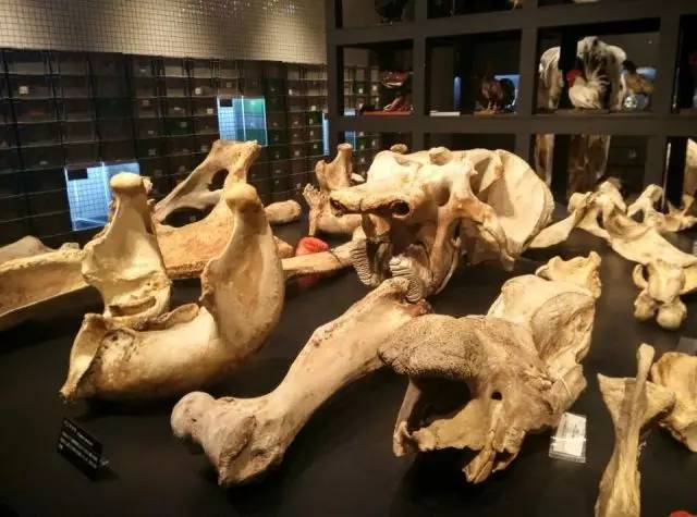 瞧,教育导报记者镜头下的2016!