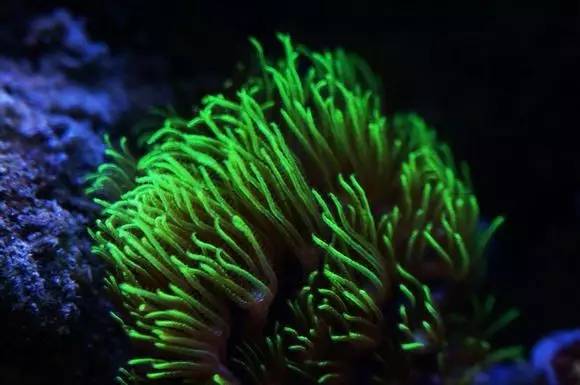 玩的真溜，三千玩出了三万的水平！