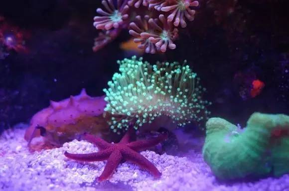 玩的真溜，三千玩出了三万的水平！