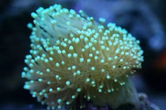 玩的真溜，三千玩出了三万的水平！