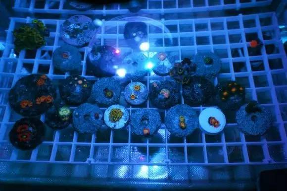 玩的真溜，三千玩出了三万的水平！