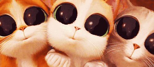 你以为的一见钟情,你以为的一见钟情其实是蓄谋已久