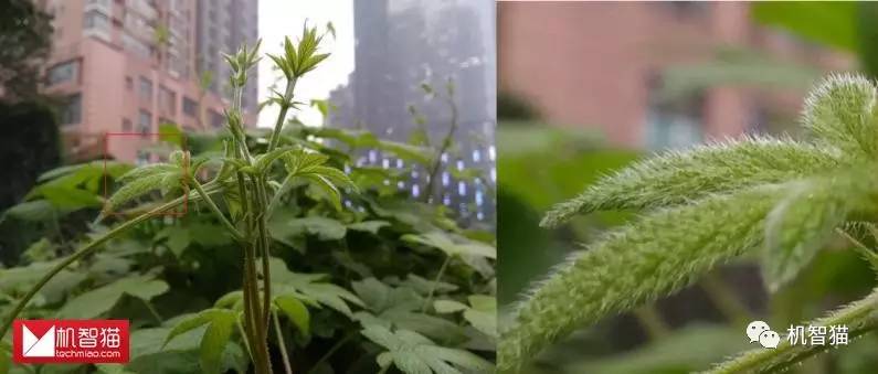 金立s9型号是什么,金立s9玩吃鸡卡吗