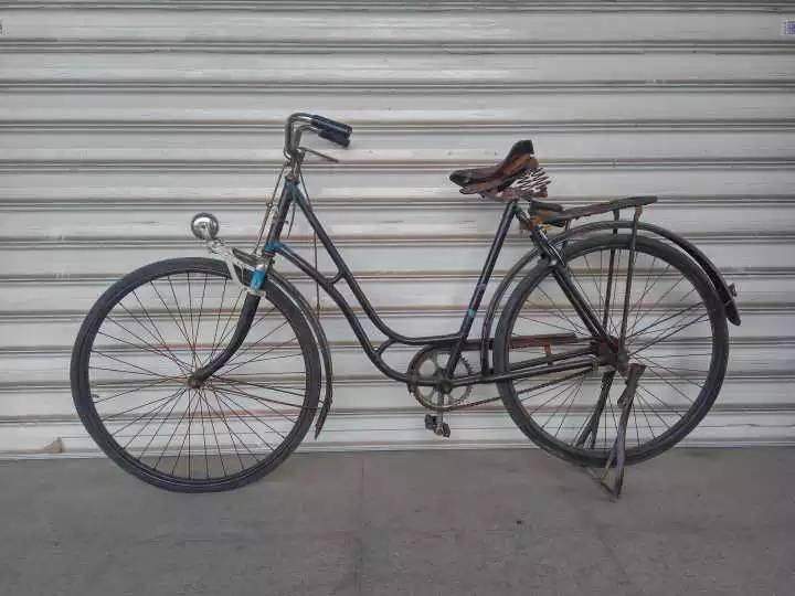 山东猪坚强,猪坚强512