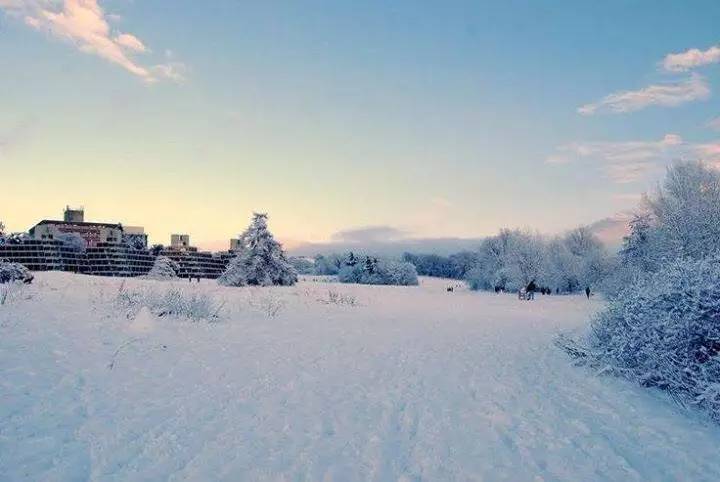 水象星座的两个极品阴暗时刻,新鲜水象星座的秘密
