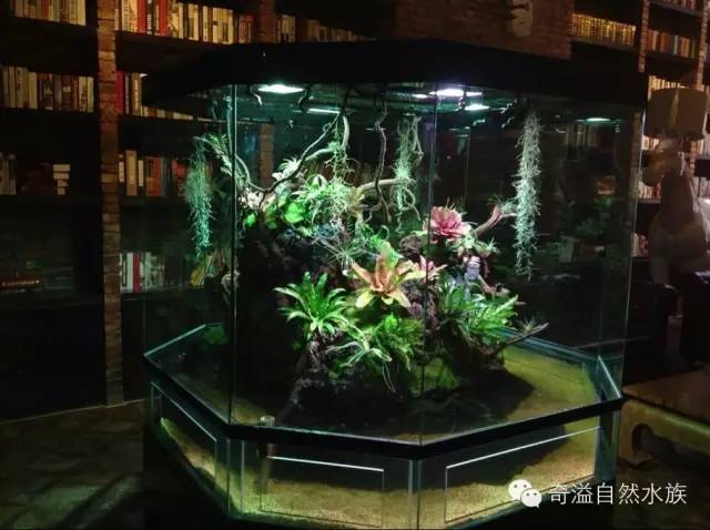 鱼缸摆放位置与属相,鱼缸的摆放位置以及风水影响